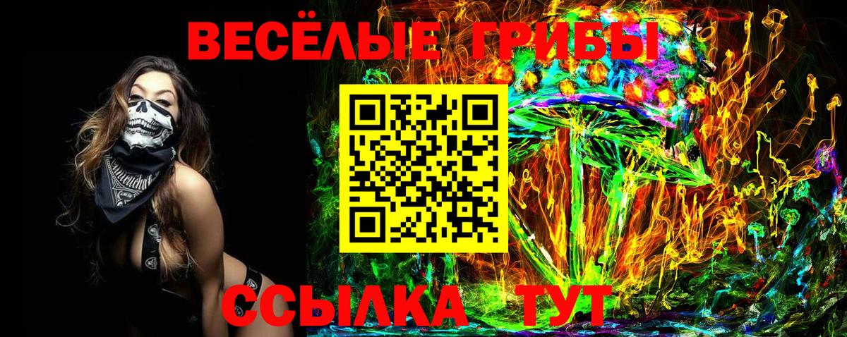 Медногорск  Галлюциногенные грибы Psilocybine cubensis  Вход с VPN  Псилоцибиновые грибы MAGIC MUSHROOMS 